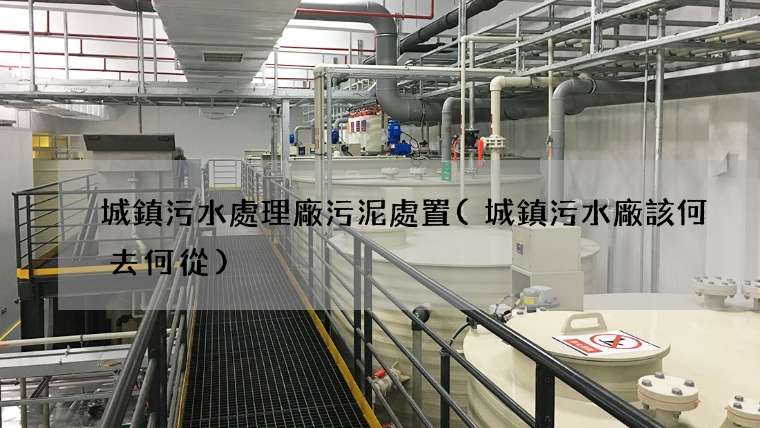 城鎮污水處理廠污泥處置(城鎮污水廠該何去何從)